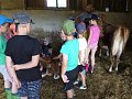 Ekoprogram Ovčí farma Zašovice - 22.6.2017