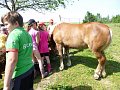 Ekoprogram Ovčí farma Zašovice - 22.6.2017